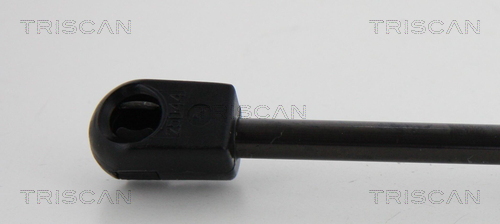 TRISCAN 8710 44202 Gasfeder, Heckscheibe