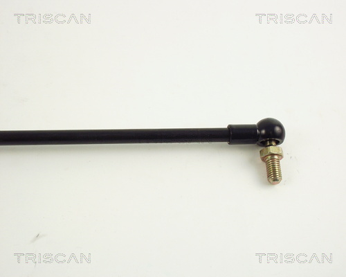 TRISCAN 8710 50205 Gasfjäder, bagageutrymme