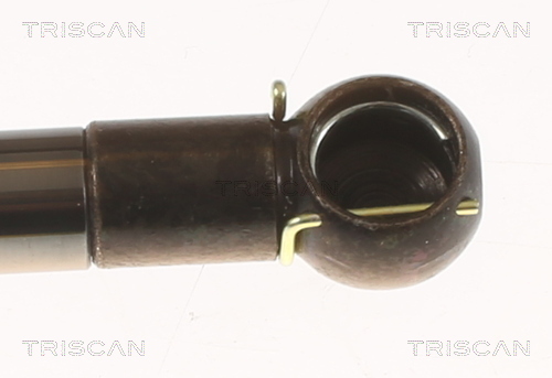 TRISCAN 8710 50213 Gasfeder, Koffer-/Laderaum