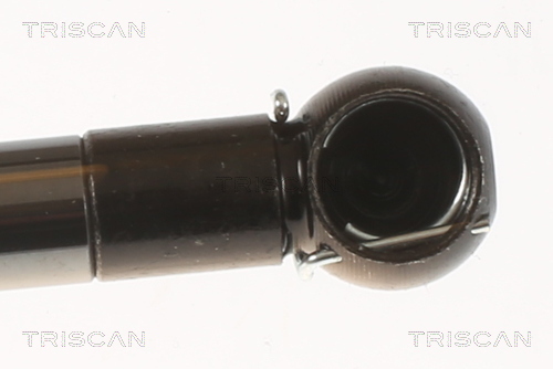 TRISCAN 8710 50214 Gasfjäder, bagageutrymme