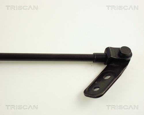 TRISCAN 8710 50222 Gasfjäder, bagageutrymme