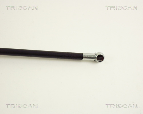 TRISCAN 8710 50225 Gasfjäder, bagageutrymme