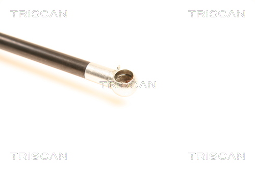 TRISCAN 8710 50230 Gasfeder, Koffer-/Laderaum