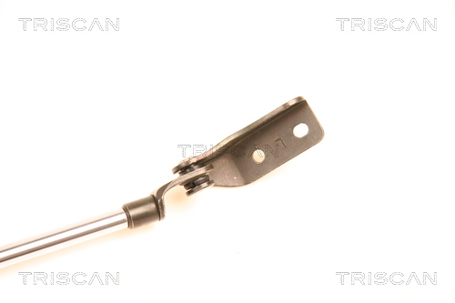 TRISCAN 8710 50233 Gasfjäder, bagageutrymme