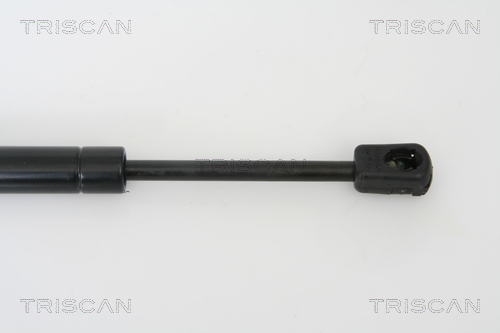 TRISCAN 8710 50242 Gasfjäder, bagageutrymme