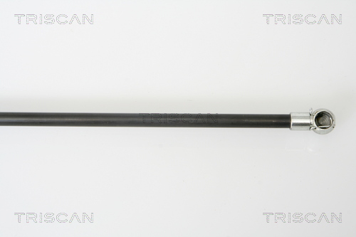TRISCAN 8710 50243 Gasfjäder, bagageutrymme