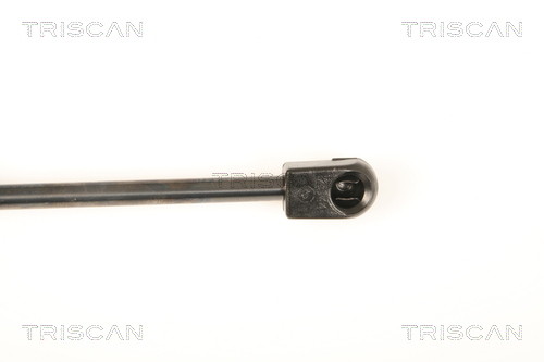 TRISCAN 8710 50246 Gasfjäder, bagageutrymme