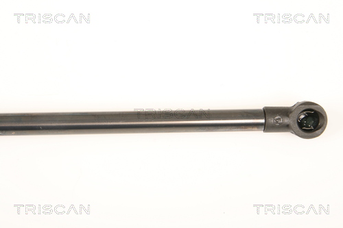 TRISCAN 8710 50248 Gasfjäder, bagageutrymme