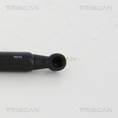 TRISCAN 8710 50252 Gasfjäder, bagageutrymme