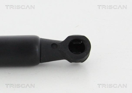 TRISCAN 8710 50253 Gasfjäder, bagageutrymme