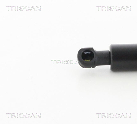TRISCAN 8710 50254 Gasfjäder, bagageutrymme