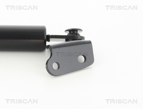 TRISCAN 8710 50256 Gasfjäder, bagageutrymme
