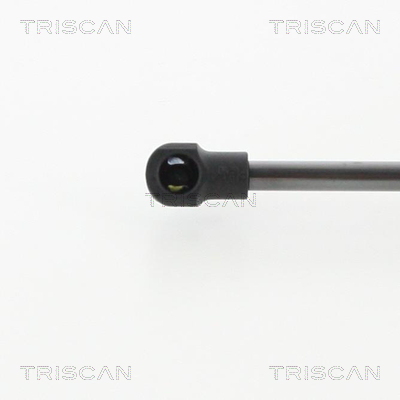 TRISCAN 8710 50257 Gasfjäder, bagageutrymme