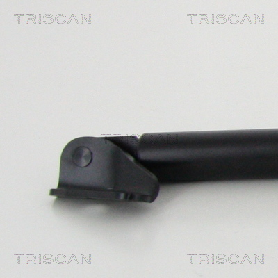 TRISCAN 8710 50262 Gasfjäder, bagageutrymme