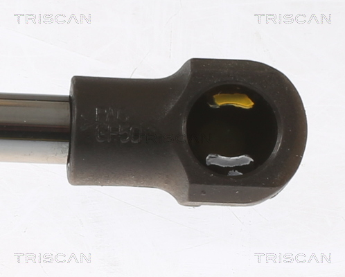 TRISCAN 8710 50266 Gasfjäder, bagageutrymme