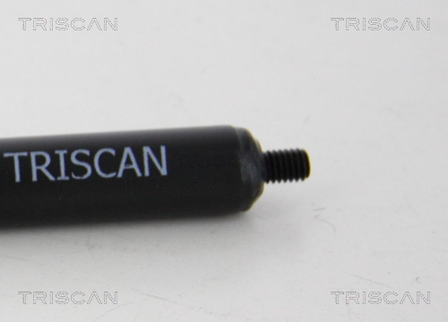 TRISCAN 8710 615201250 