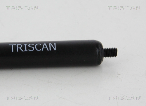 TRISCAN 8710 615277100 