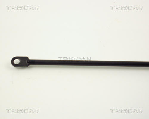 TRISCAN 8710 6501 Gasfjäder, bagageutrymme