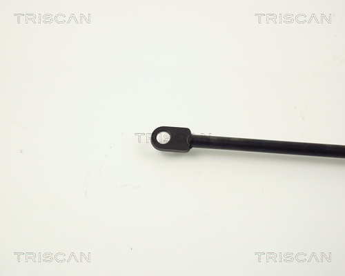 TRISCAN 8710 6502 Gasfjäder, bagageutrymme