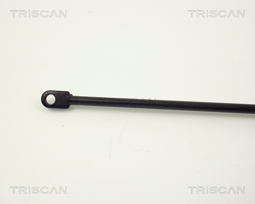 TRISCAN 8710 6503 Gasfjäder, bagageutrymme