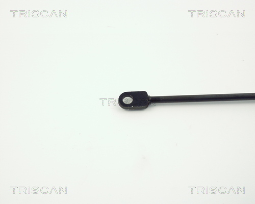 TRISCAN 8710 6504 Gasfeder, Motorhaube