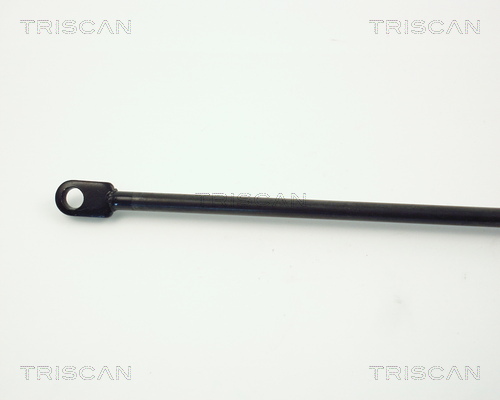 TRISCAN 8710 6505 Gasfjäder, bagageutrymme