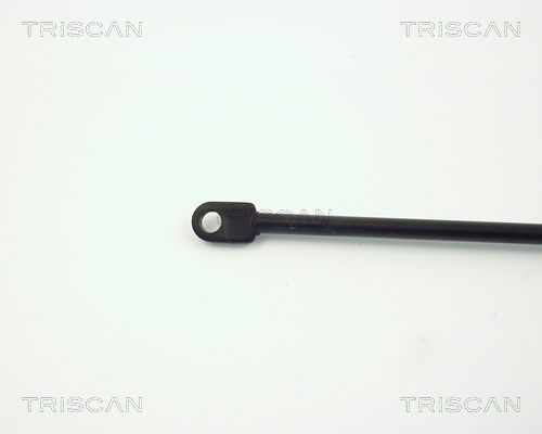 TRISCAN 8710 6506 Gasfjäder, bagageutrymme