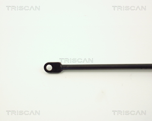 TRISCAN 8710 6507 Gasfjäder, bagageutrymme