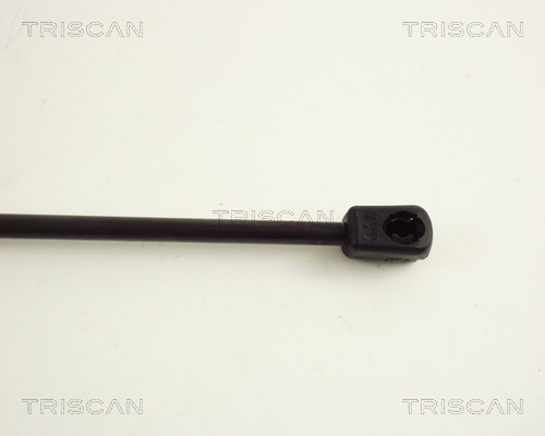 TRISCAN 8710 65202 Gasfjäder, bagageutrymme