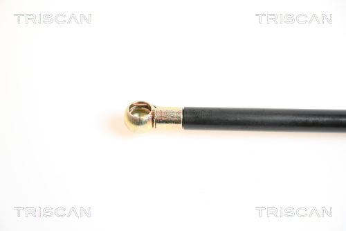 TRISCAN 8710 65208 Gasfeder, Koffer-/Laderaum