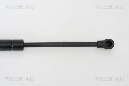 TRISCAN 8710 65209 Gasfjäder, bagageutrymme