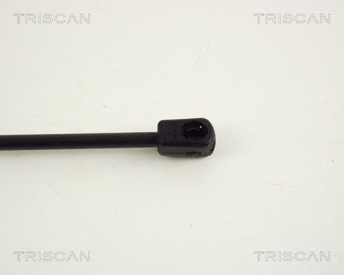 TRISCAN 8710 67204 Gasfjäder, bagageutrymme