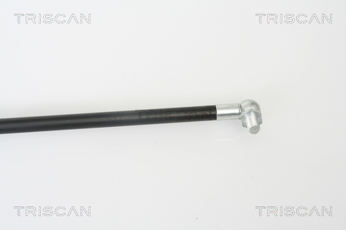 TRISCAN 8710 68210 Gasfjäder, bagageutrymme