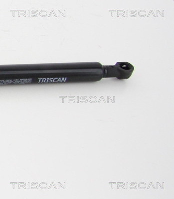 TRISCAN 8710 69202 Gasfeder, Koffer-/Laderaum