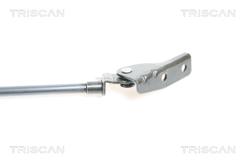 TRISCAN 8710 69208 Gasfjäder, bagageutrymme