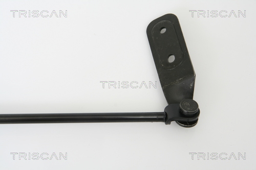 TRISCAN 8710 69219 Gasfjäder, bagageutrymme
