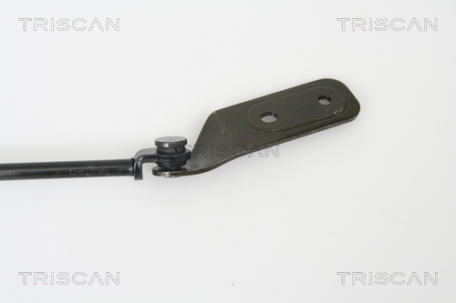 TRISCAN 8710 69220 Gasfjäder, bagageutrymme