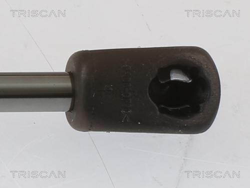 TRISCAN 8710 69228 Gasfjäder, bagageutrymme