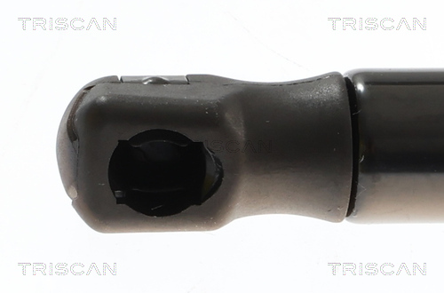 TRISCAN 8710 69229 Gasfeder, Koffer-/Laderaum