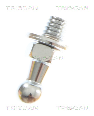 TRISCAN 8710 69229 Gasfeder, Koffer-/Laderaum
