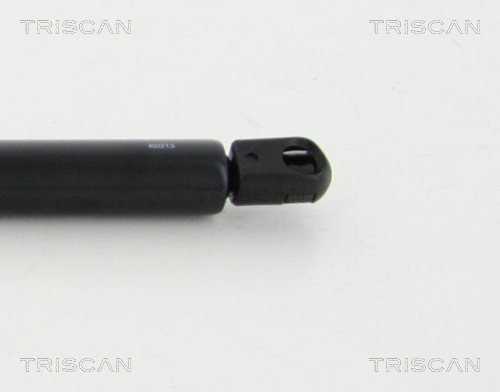 TRISCAN 8710 70201 Gasfjäder, bagageutrymme