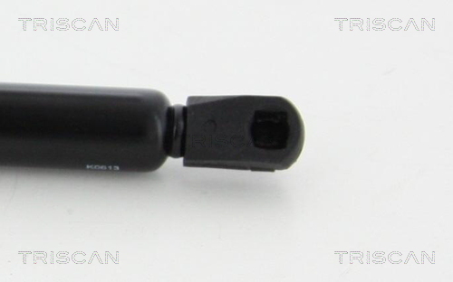 TRISCAN 8710 80103 Gasfeder, Motorhaube