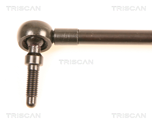 TRISCAN 8710 80202 Gasfjäder, bagageutrymme
