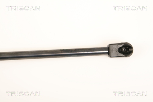 TRISCAN 8710 80205 Gasfjäder, bagageutrymme