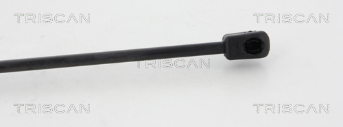 TRISCAN 8710 80210 Gasfjäder, bagageutrymme