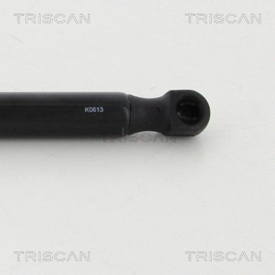 TRISCAN 8710 80213 Gasfjäder, bagageutrymme