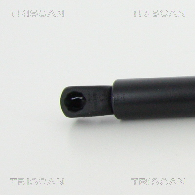 TRISCAN 8710 80219 Gasfjäder, bagageutrymme