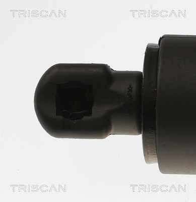TRISCAN 8710 81200 Gasfeder, Koffer-/Laderaum