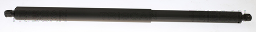 TRISCAN 8710 81202 Gasfeder, Koffer-/Laderaum