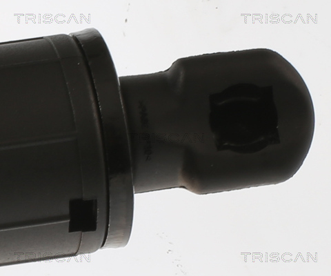 TRISCAN 8710 81202 Gasfeder, Koffer-/Laderaum